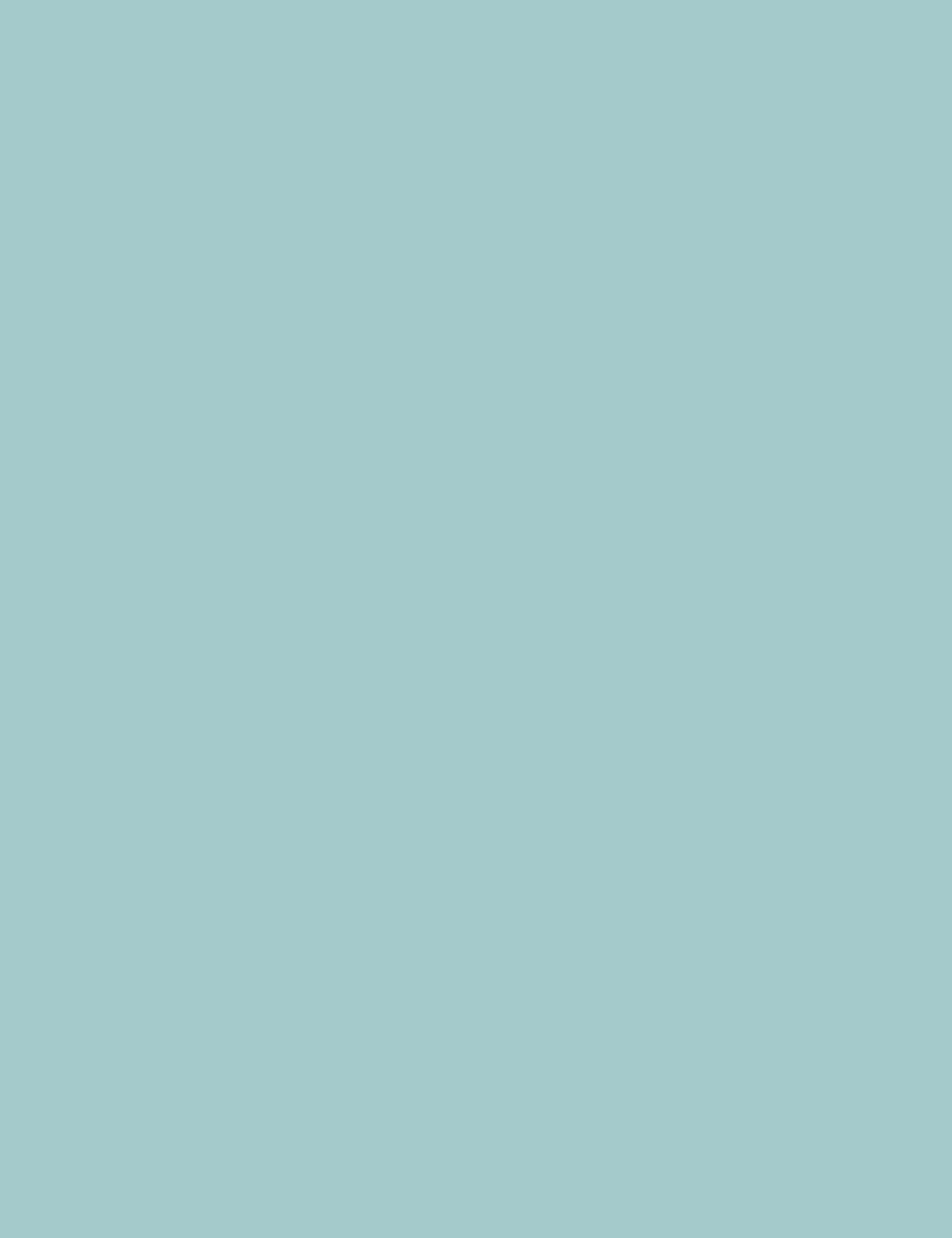 Solid Aqua Fabric Backdrop For Photography Shopbackdrop