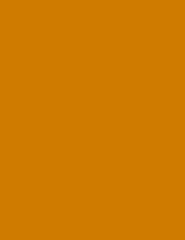 Solid Tangerine Yellow Printed  Fabric Photography Backdrop Shopbackdrop