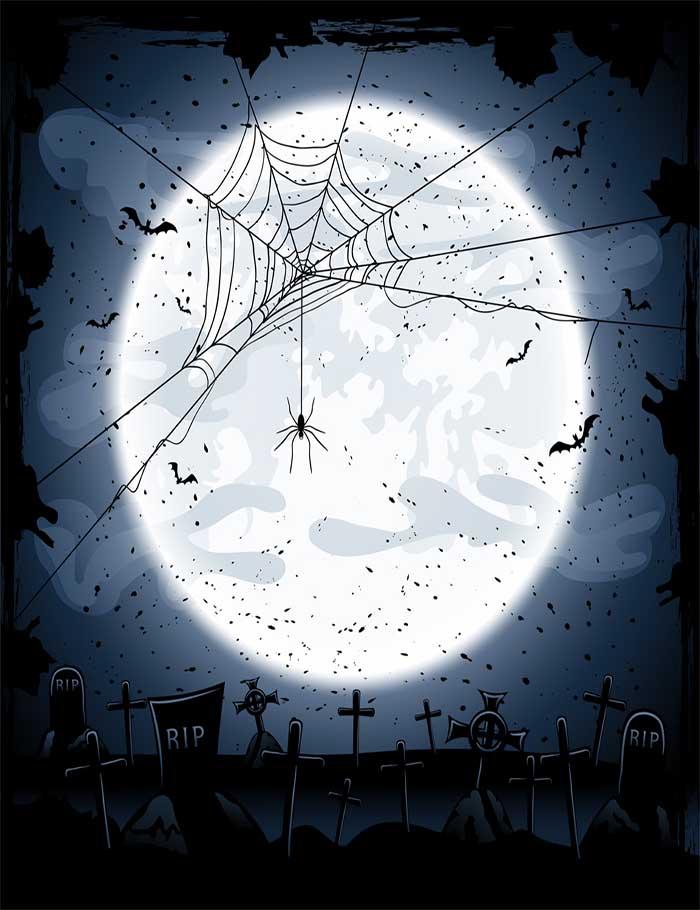 Spider Web In Cemetery With Full Moon Photography Backdrop J-0253 Shopbackdrop