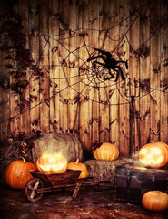 Spider Web Pumpkin For Halloween Photography Backdrop J-0654 Shopbackdrop
