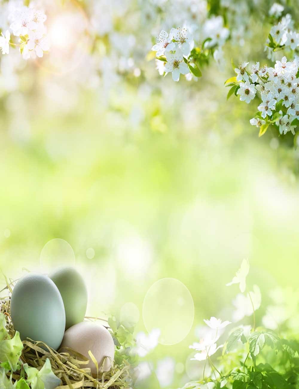 Spring And Easter Background Spring Flower Easter Eggs With Green Background For Easter Holiday ...