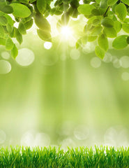 Spring Green Grass Sunshine Bokeh Photography Backdrops Shopbackdrop