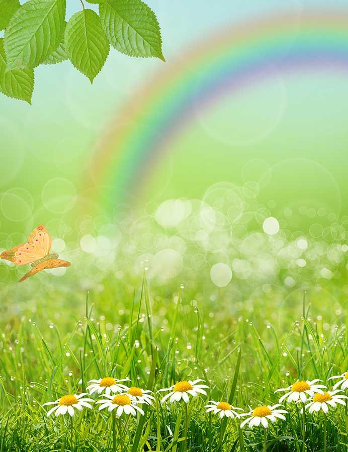 Spring Gress With Rainbow Photography Backdrop J-0467 Shopbackdrop