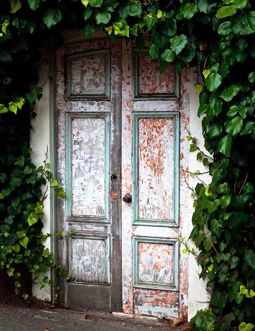 Square Wood Door With Green Leaves Backdrop For Photography Shopbackdrop