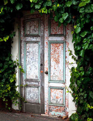 Square Wood Door With Green Leaves Backdrop For Photography Shopbackdrop