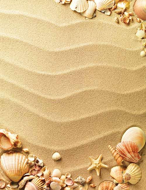 Starfish And Shell On Yellow Beach For Baby Photography Backdrop Shopbackdrop