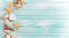 Starfish Conch On Baby Blue Wood Floor Backdrop For Photography Shopbackdrop