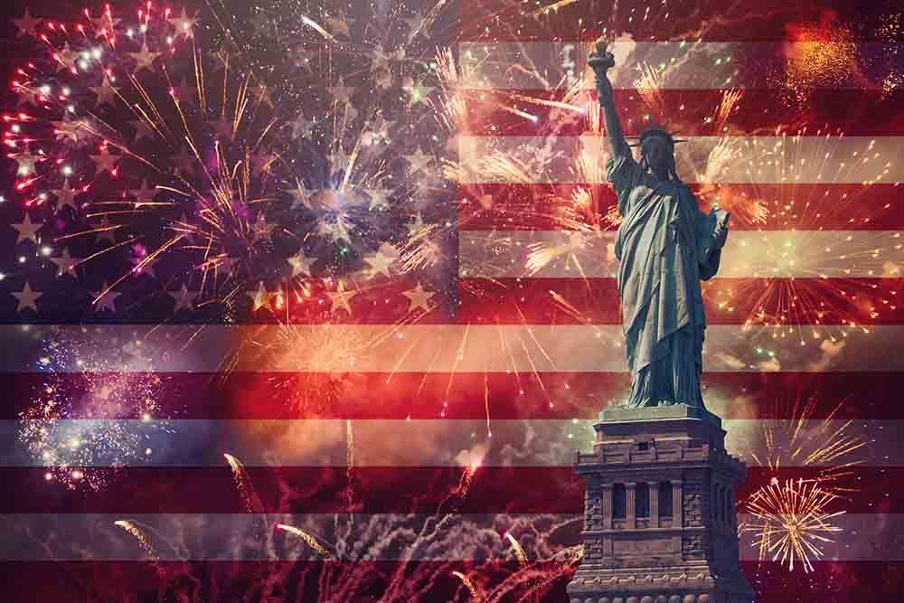 Statue of Liberty And Fireworks For Celebrate Independence Day Photography Backdrop  J-0357 Shopbackdrop