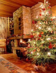 Stone Fireplace And Christmas Tree In Senior Room  For Holiday Photography Backdrop Shopbackdrop