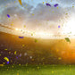 Sunset Celebrating Victory In The Soccer Field For World Cup Backdrop Shopbackdrop