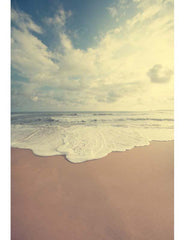 Sunset Golden Sandy Beach Spindrift Holiday Photography Backdrop  F-2644 Shopbackdrop