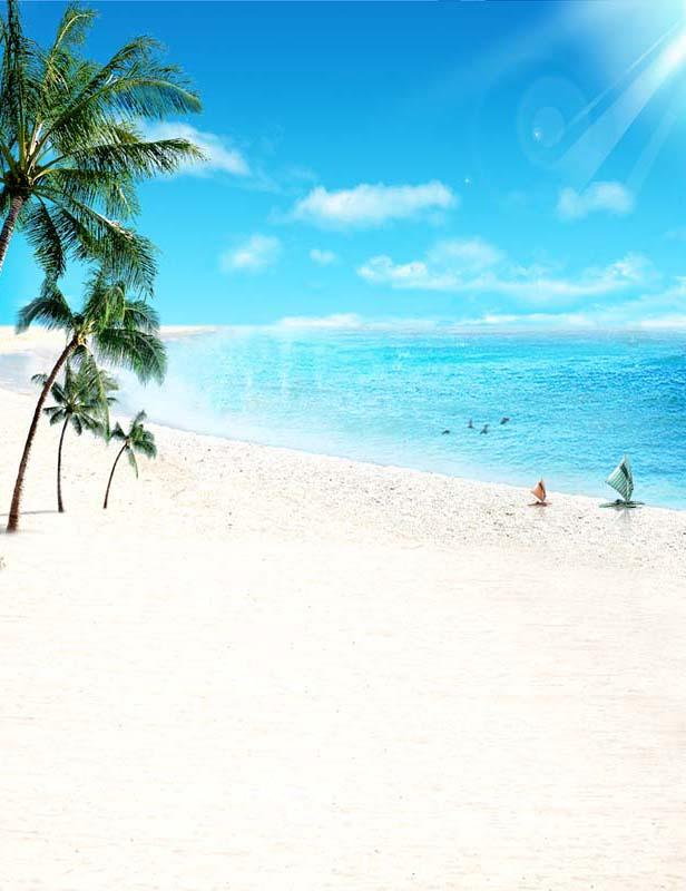 Sunshine Sandy Beach Coconut Trees For Summer Holiday Backdrop F-2651 Shopbackdrop