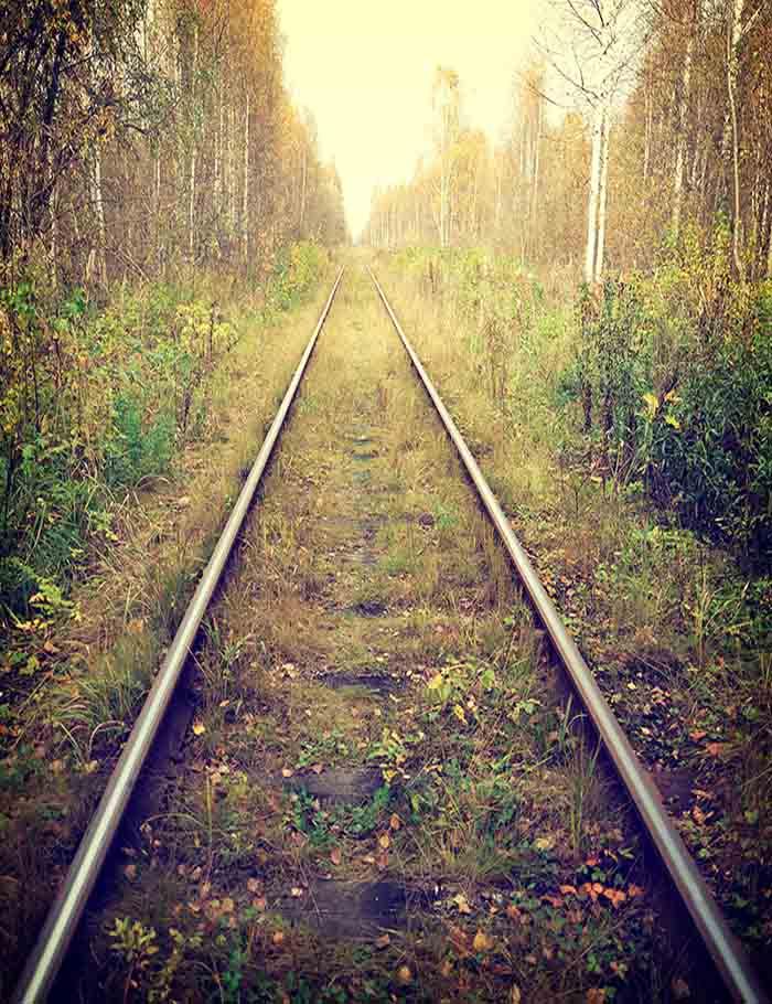 Train Tracks Through The Autumn Forest Photography Backdrop J-0316 Shopbackdrop