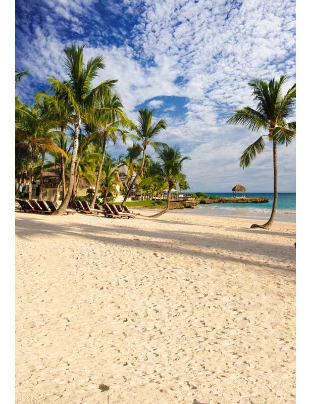 Tropical Sand Beach With Coconut Trees Backdrop For Children Photography F-2616 Shopbackdrop