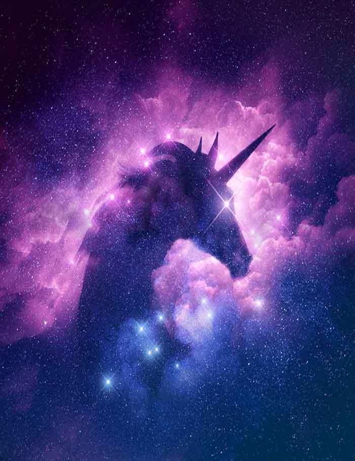 Unicorn Silhouette In Galaxy Nebula Cloud Photography Backdrop J-0196 Shopbackdrop