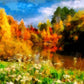 Watercolor Painted Autumn Scenery Photography Backdrop J-0792 Shopbackdrop