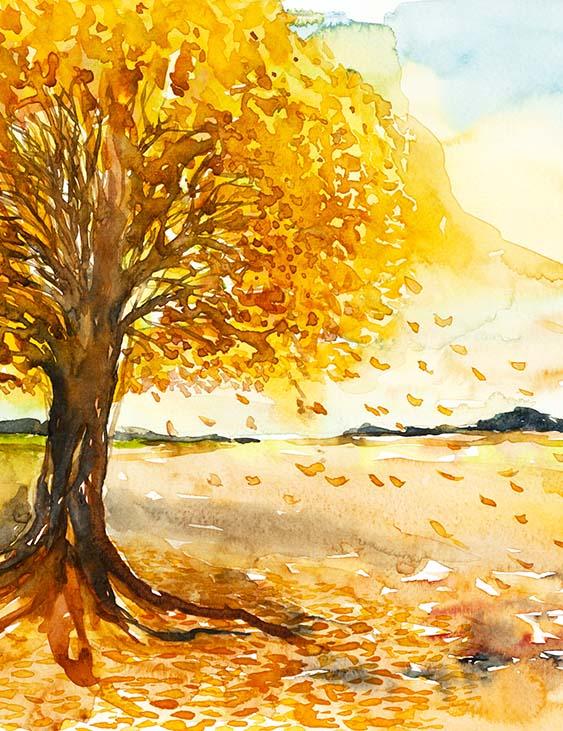 Watercolor Painted Autumn Tree For Children Photography Backdrop N-0139 Shopbackdrop