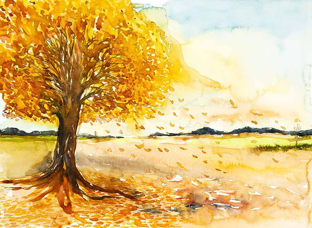 Watercolor Painted Autumn Tree For Children Photography Backdrop N-0139 Shopbackdrop