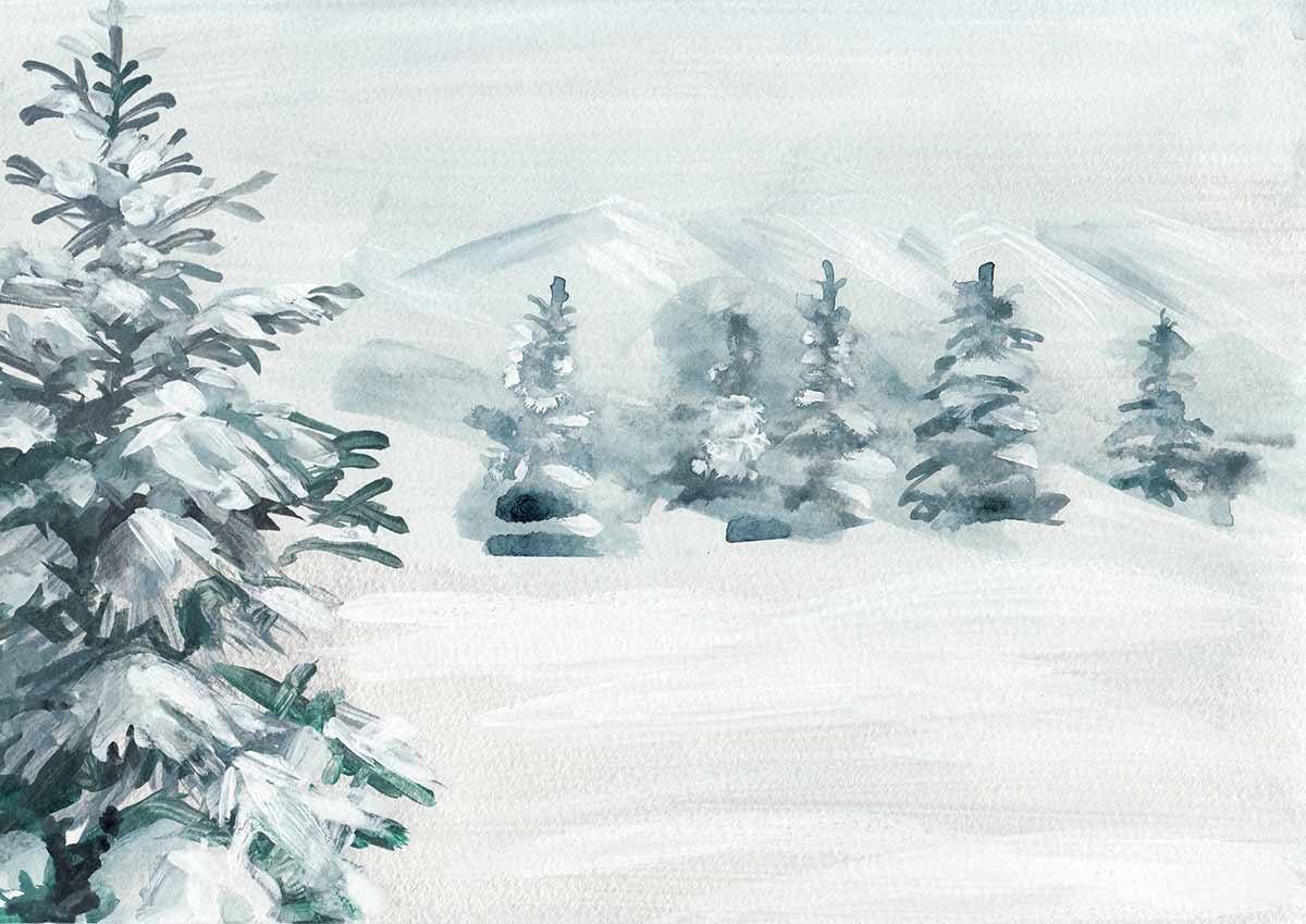 Watercolor Painted Firtree With Snow For Winter Holiday Photography Backdrop N-0120 Shopbackdrop