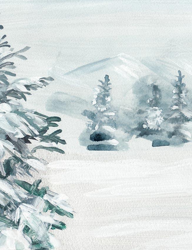Watercolor Painted Firtree With Snow For Winter Holiday Photography Backdrop N-0120 Shopbackdrop