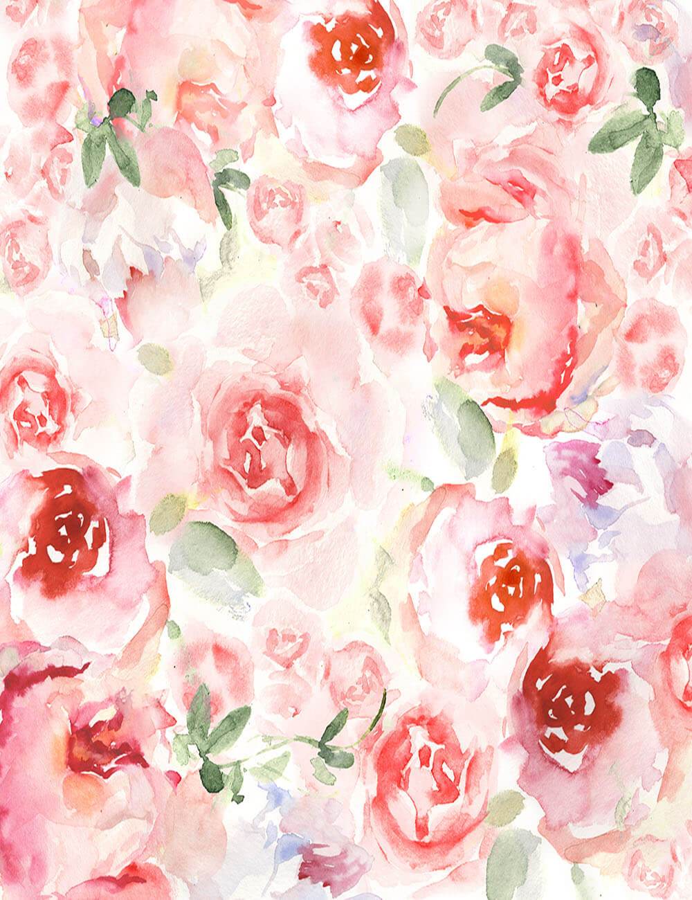 Watercolor Painted Pink Rose Flower Photography Backdrop J-0801 Shopbackdrop