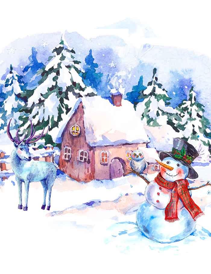 Watercolor Painted Snowmen Deer Room For Christmas Photography Backdrop J-0283 Shopbackdrop