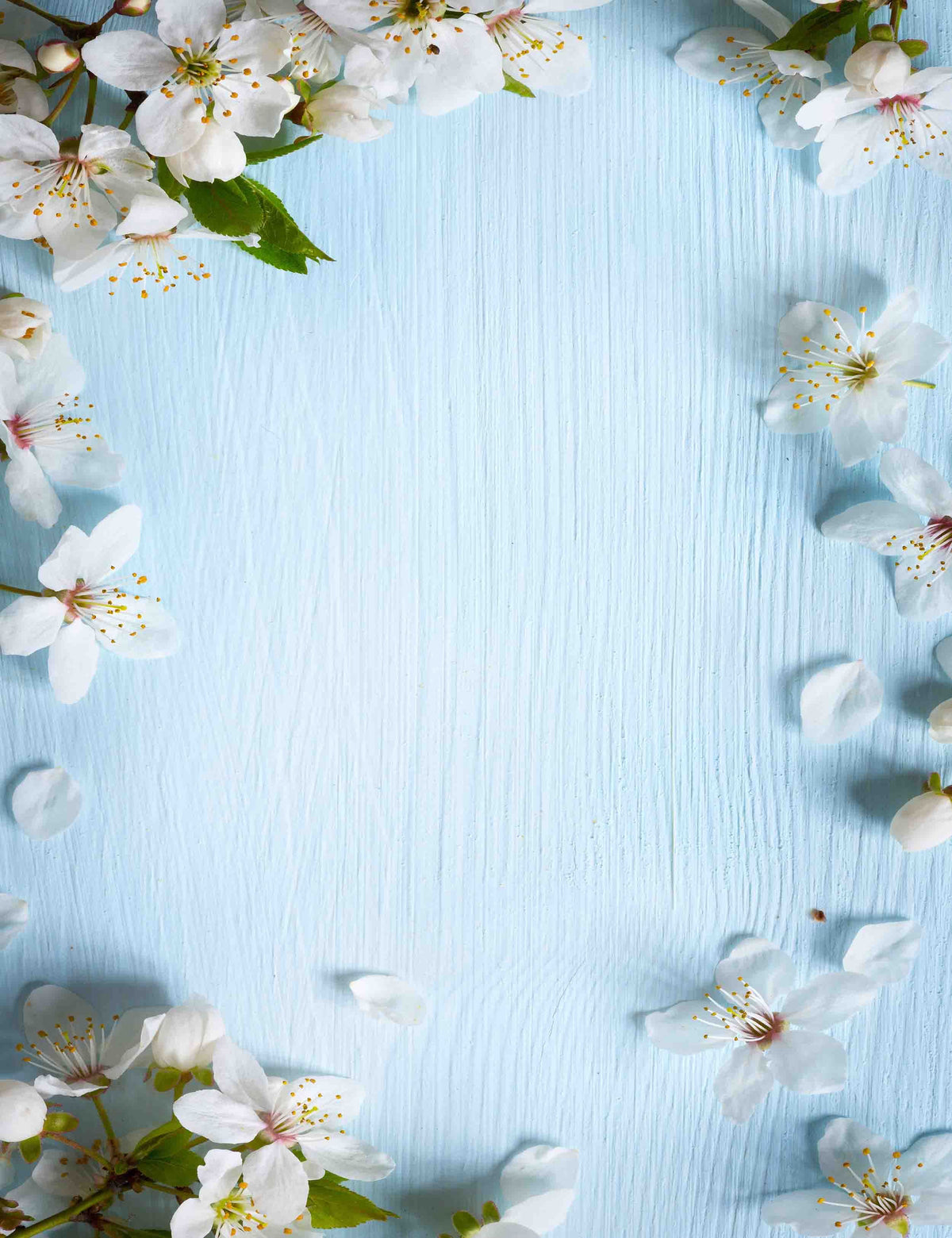 White Pear flower Sprinkle Around Sky Blue Wood Photography Backdrop Shopbackdrop