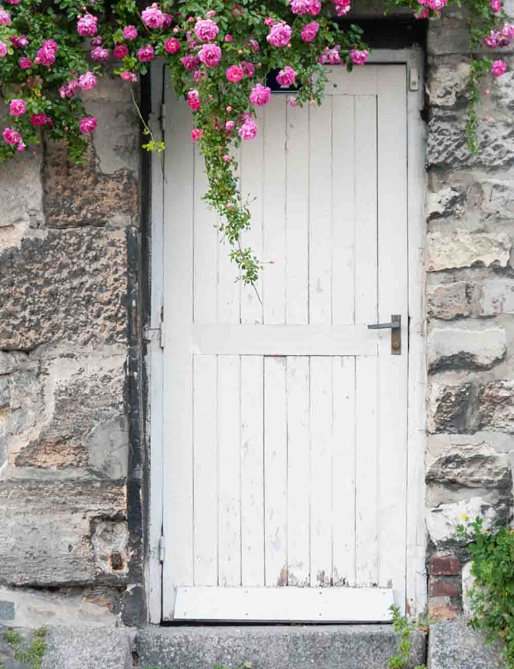 White Wood Door With Store Wall Pink Flower Photography Backdrop Shopbackdrop