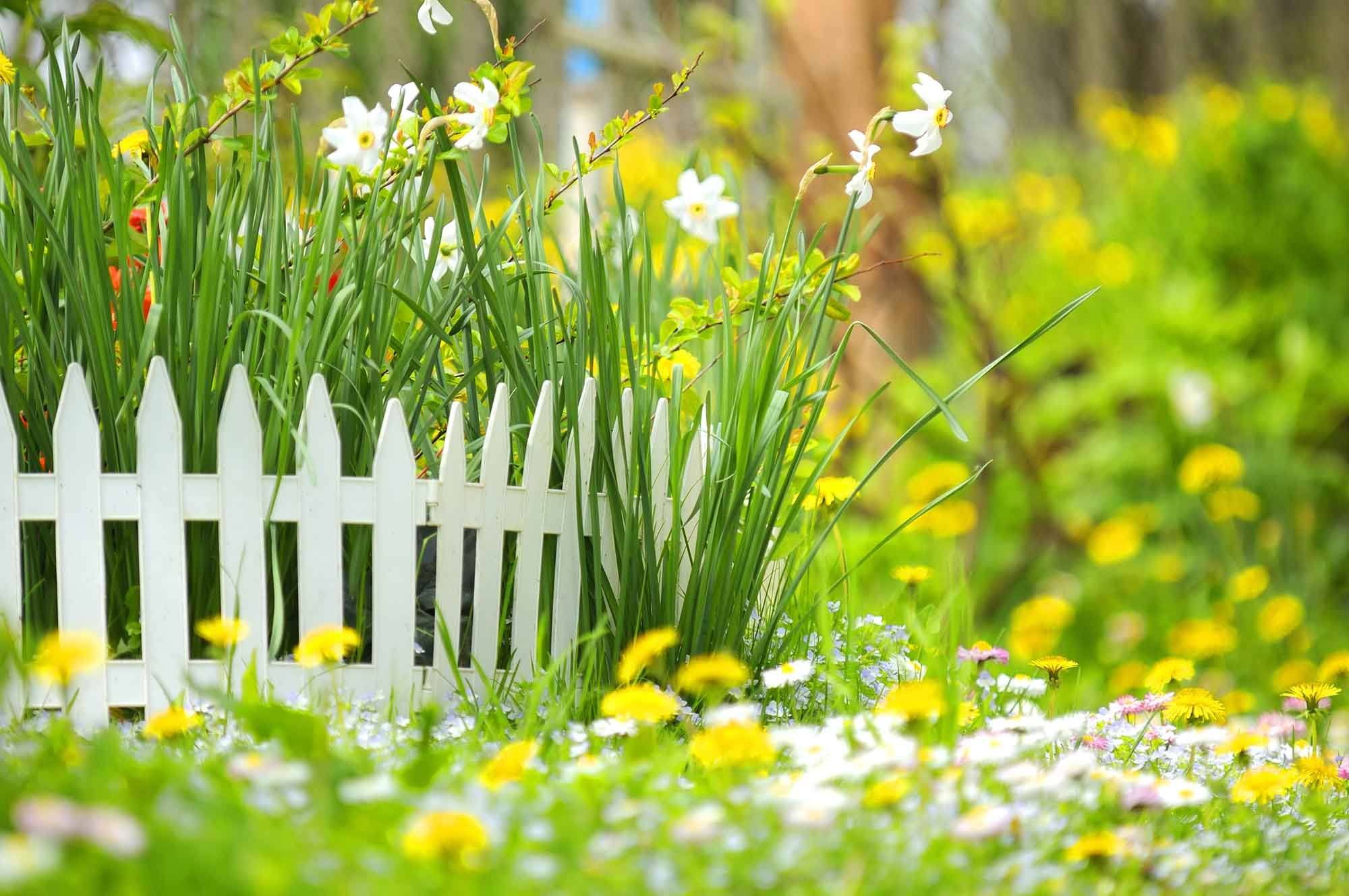 Wild Flowers Meadow Spring Background Backdrops For Kid Shopbackdrop