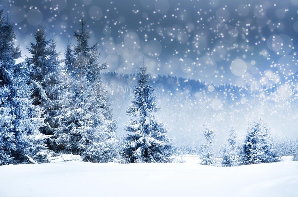 Winter Snow Covered Fir Tree Photography Backdrop N-0026 Shopbackdrop